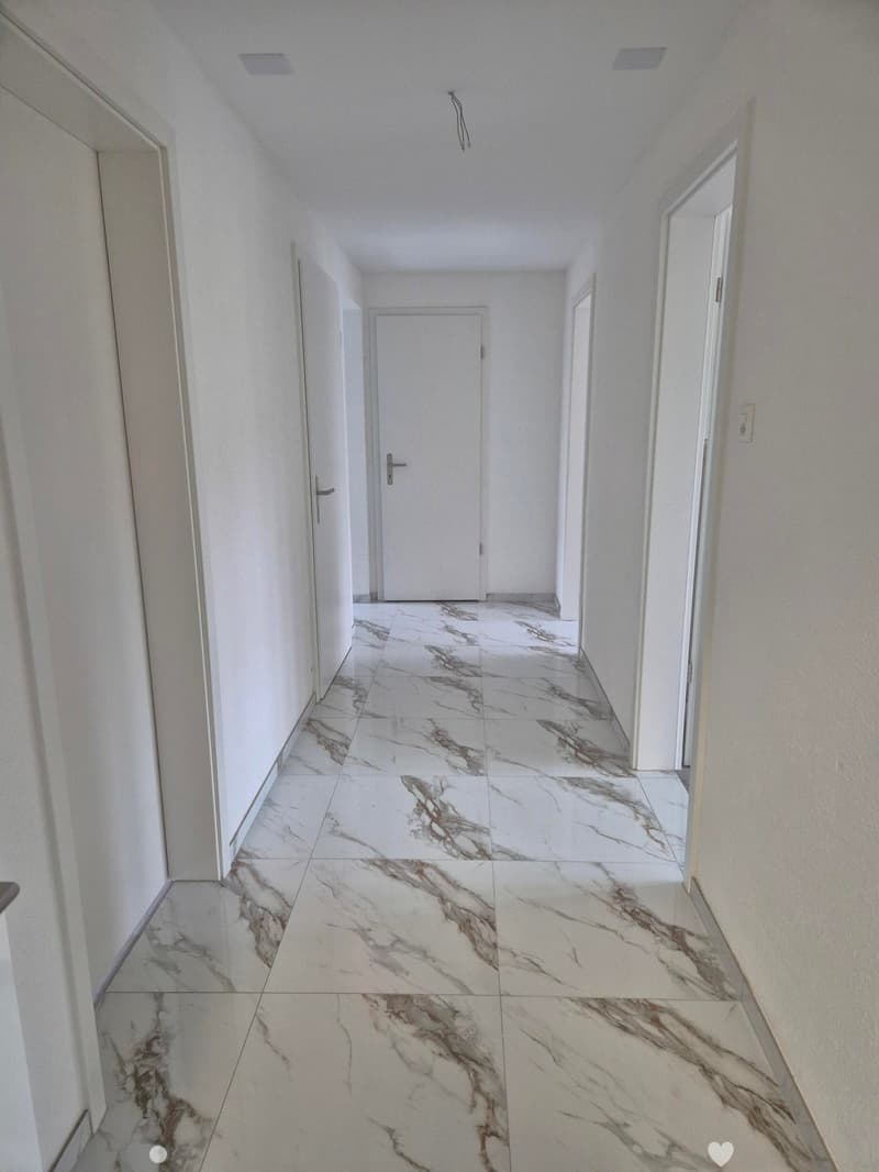 Moderne/Renovierte 3 1/2 Zimmerwohnung in Biel-Bienne (BE) (3)