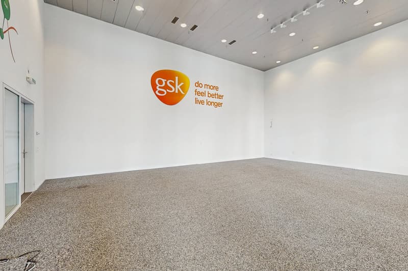 Lichtdurchflutete Gewerbefläche im Erdgeschoss – vielseitig nutzbar (103 m²) (3)