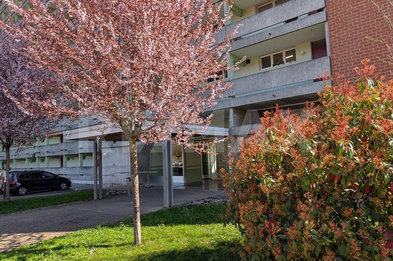 Grosszügige 6-Zimmer-Eigentumswohnung mit beeindruckender Weitsicht (2)