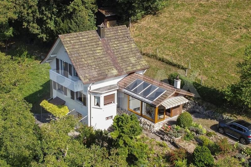 Liebhaber Oase im Grünen (1)
