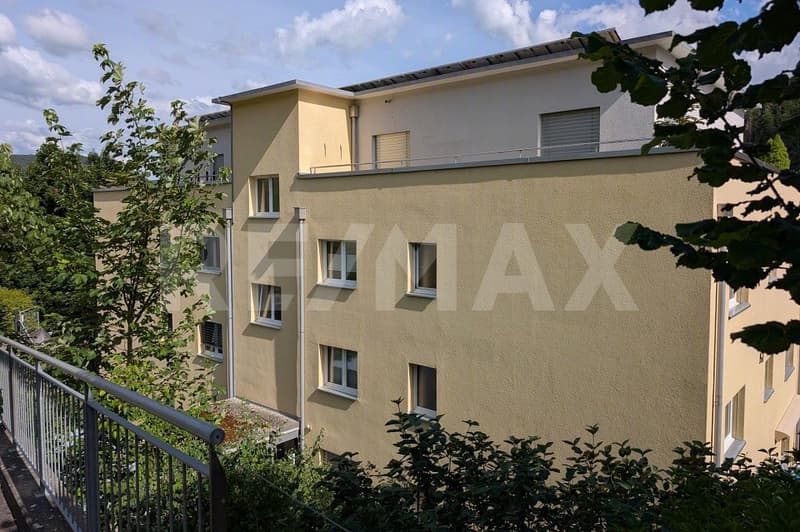 Exklusives Wohnen - 5½-Zimmer-Attikawohnung mit direktem Liftzugang (6)
