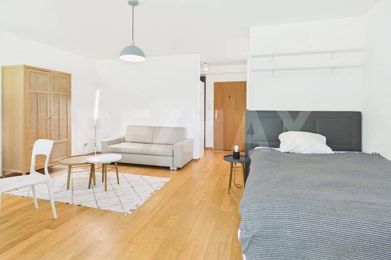Attraktive 1-Zimmer-Wohnung mit Garten (2)