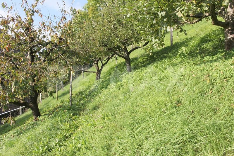Ihr Logenplatz in der Natur (12)