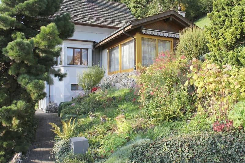 Ihr Logenplatz in der Natur (11)