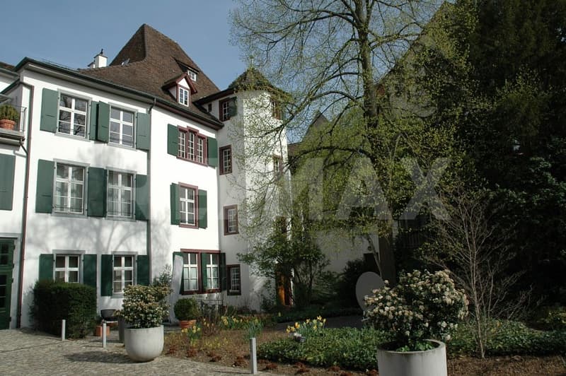 Historische Dachwohnung an bester Lage attraktive Investitionsmöglichkeit (10)
