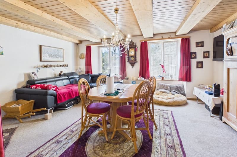 Einfamilienhaus mit historischem Charm und Potenzial (5)
