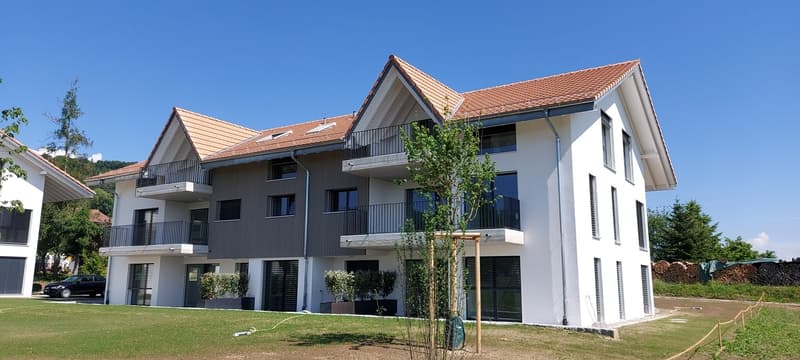 Hochwertige Neubau-3.5-Zimmer-Dachwohnung in Brüttelen (1)