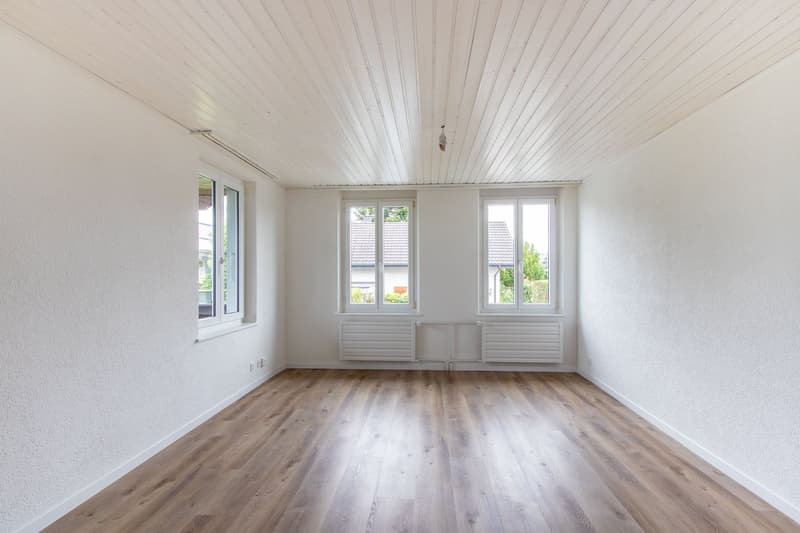 Charmante 3-Zimmer-Altbauwohnung im ruhigen Merlach – sofort verfügbar (1)
