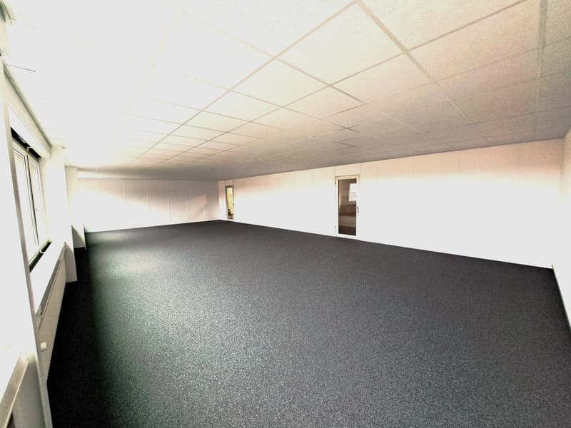 An empty room with gray carpet, white walls, square ceiling tiles, two doors, and three windows with white frames.