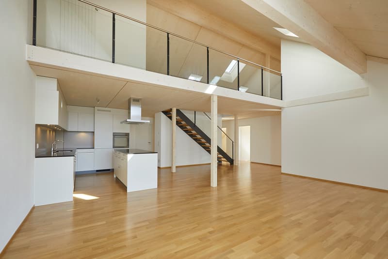 Zu vermieten 2.5-Zimmer-Dachwohnung mit Galerie 280 m2 (1)