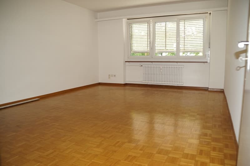 Helle 1.5-Zimmer-Wohnung in Solothurn – sofort verfügbar (1)