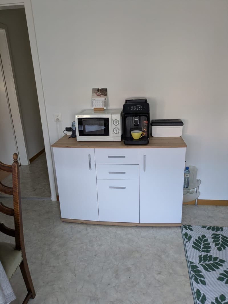 Zu vermieten 3 Zimmerwohnung an der Allmendstrasse in Solothurn (13)