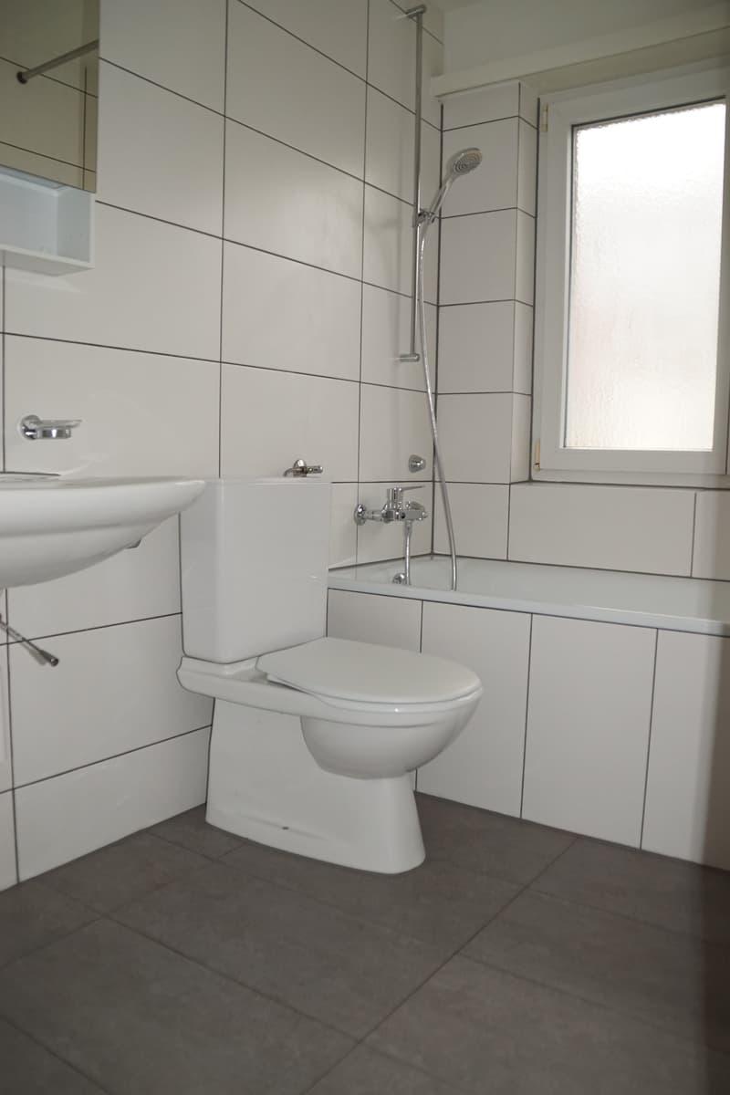 Zu vermieten 3 Zimmerwohnung an der Allmendstrasse in Solothurn (9)