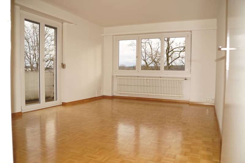 Zu vermieten 3 Zimmerwohnung an der Allmendstrasse in Solothurn (3)