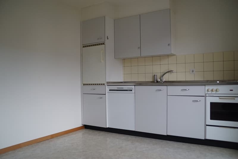 Zu vermieten 3 Zimmerwohnung an der Allmendstrasse in Solothurn (7)