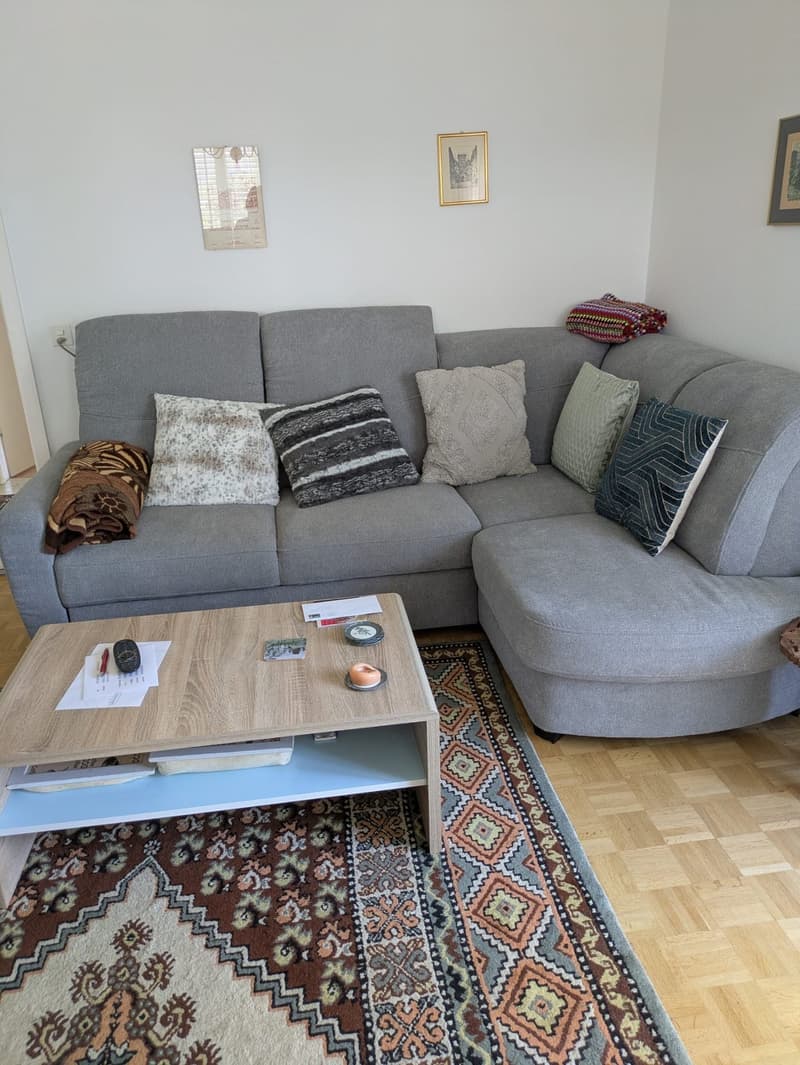 Zu vermieten 3 Zimmerwohnung an der Allmendstrasse in Solothurn (12)