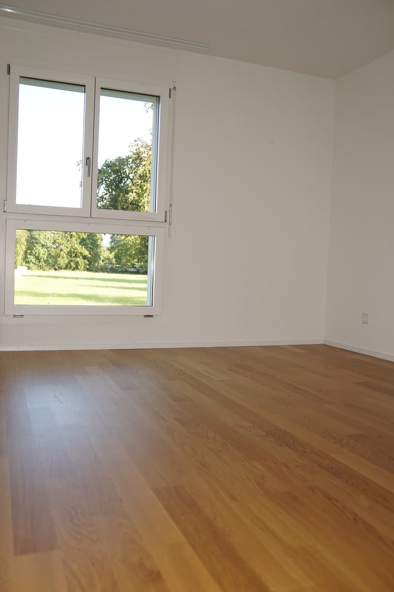 Zu vermieten 2.5 Zimmerwohnung, 69m2 (9)