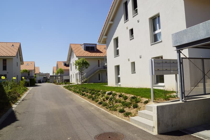 Zu vermieten 2.5 Zimmerwohnung, 69m2 (2)