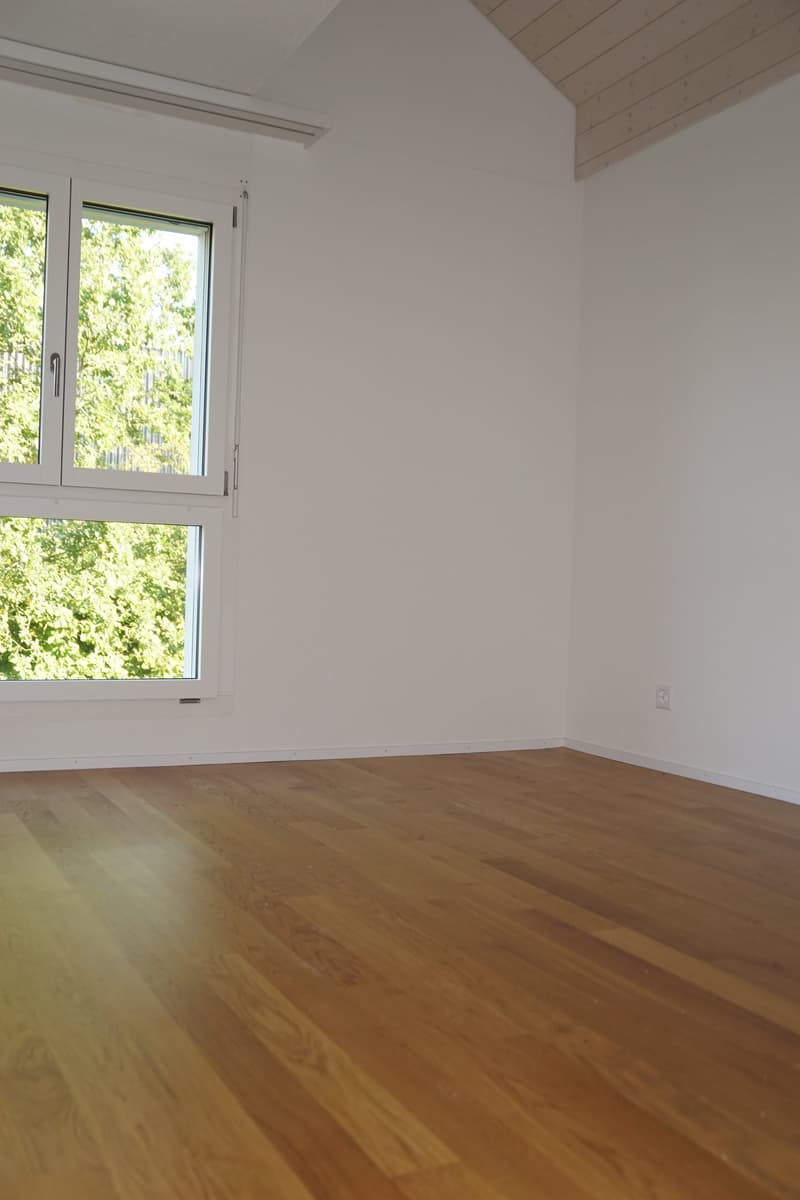 Zu vermieten 4.5-Zimmer-Duplexwohnung (5)