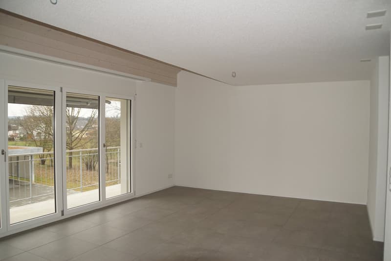 Zu vermieten 4.5-Zimmer-Duplexwohnung (3)