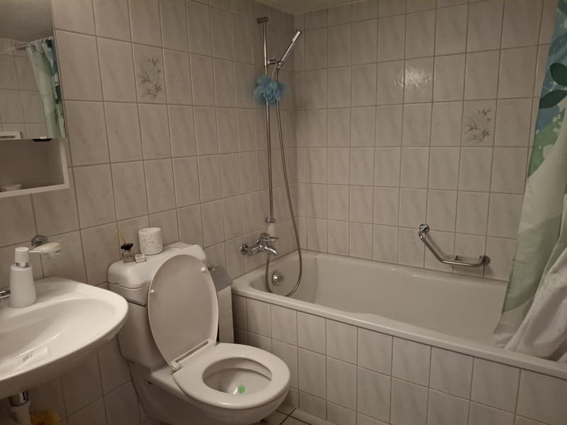 Gemütliche 2.5-Zimmer-Wohnung in Goldbach (15)