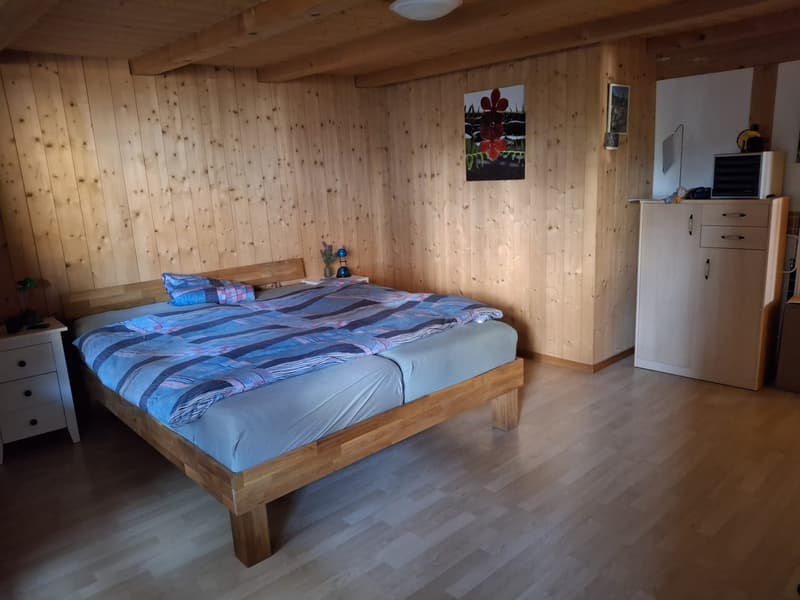Gemütliche 2.5-Zimmer-Wohnung in Goldbach (11)