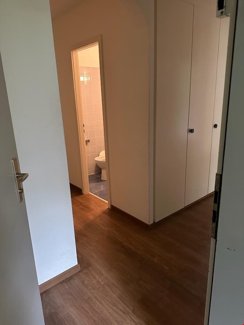 Zu vermieten 41/2 Zimmerwohnung im Hölzli 33 in St. Gallen (3)