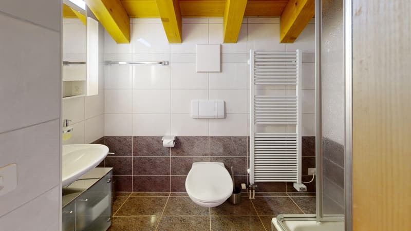 35-Duplex-Dachzimmerwohnung-Haus-Les-Violettes--Bathroom 1.jpg