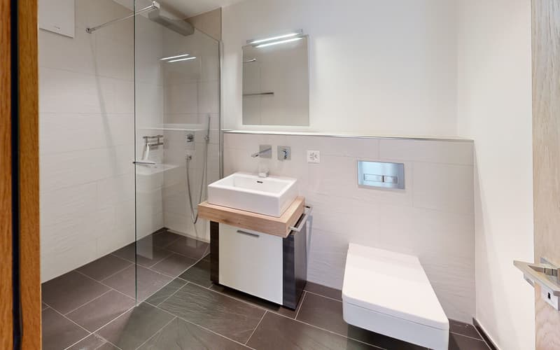 Haus-Mera-Peak-25-Zimmerwohnung-1OG-Bathroom.jpg