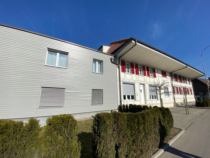 Schöne Dachwohnung mit sonniger Terrasse (1)