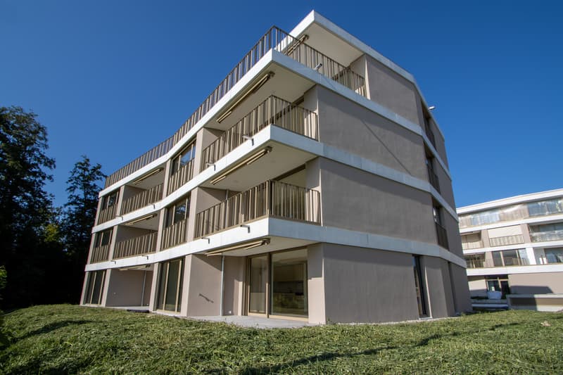 Liegenschaft