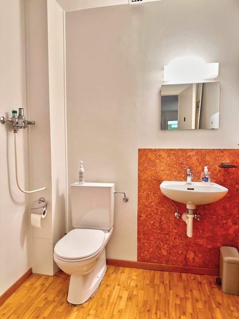 Administratif/Bureau 1 pièce 17 m2 à Lausanne (8)