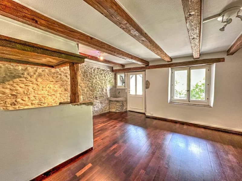 Maison paysanne transformée (13)