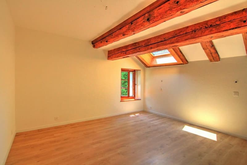 Appartement 5.5 pièces à Mézières VD (6)