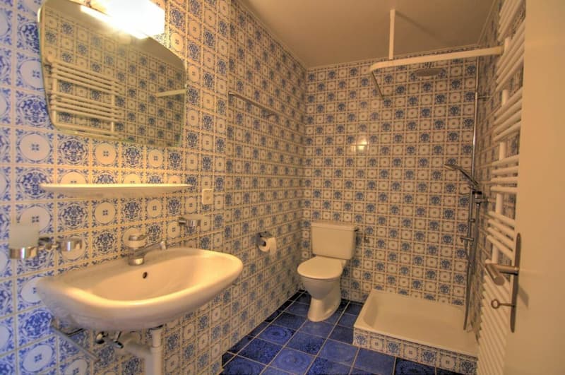 Appartement 5.5 pièces à Mézières VD (9)