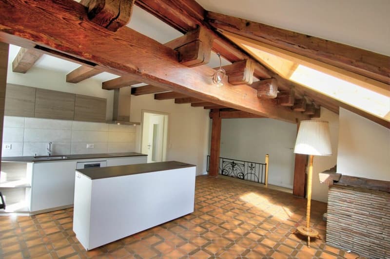 Appartement 5.5 pièces à Mézières VD (15)