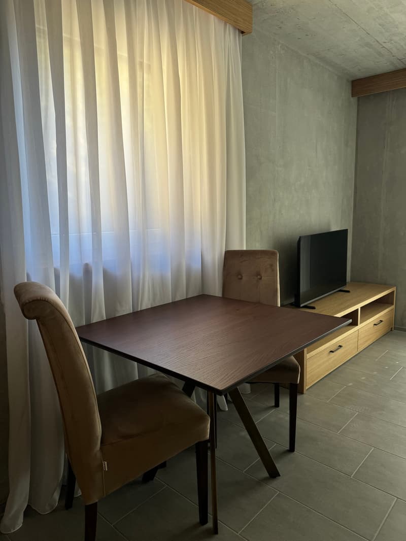 Mobilierte Neubauwohung Savognin (22)