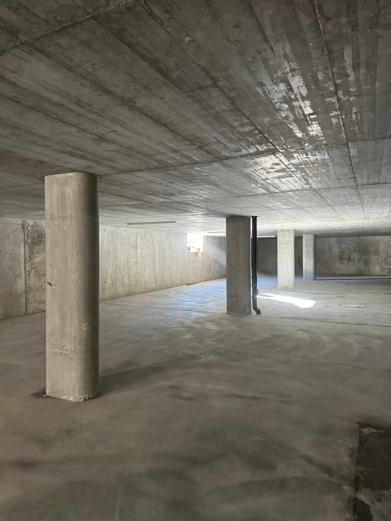 Mobilierte Neubauwohung Savognin (49)