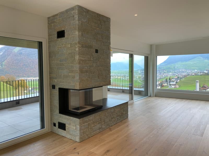 Fireplace, glass walls, balcony, wooden floor, green hillside view, large windows