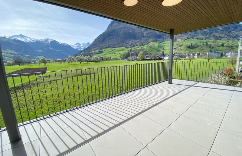 Exklusive 5 1/2-Zimmer-Wohnung mit Bergpanorama in Stans (12)