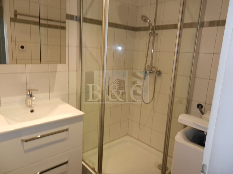 Appartement lumineux en centre-ville (3)