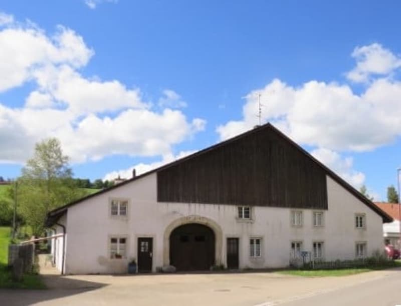 FERME TYPIQUE DES FRANCHES-MONTAGNES (1)