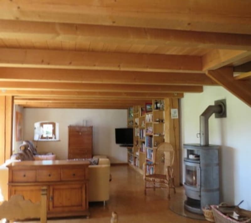 FERME TYPIQUE DES FRANCHES-MONTAGNES (2)