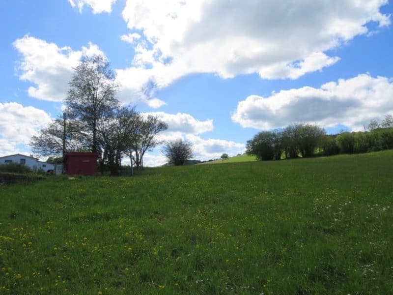 FERME TYPIQUE DES FRANCHES-MONTAGNES (13)