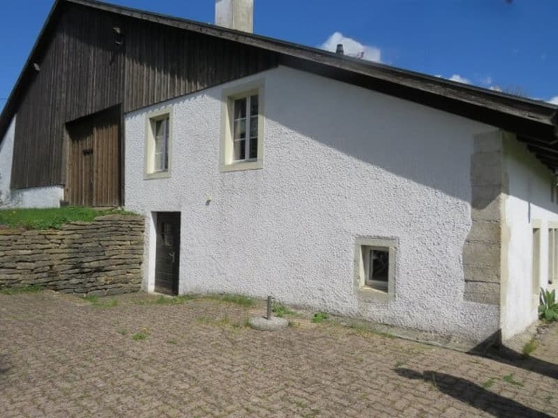 FERME TYPIQUE DES FRANCHES-MONTAGNES (11)
