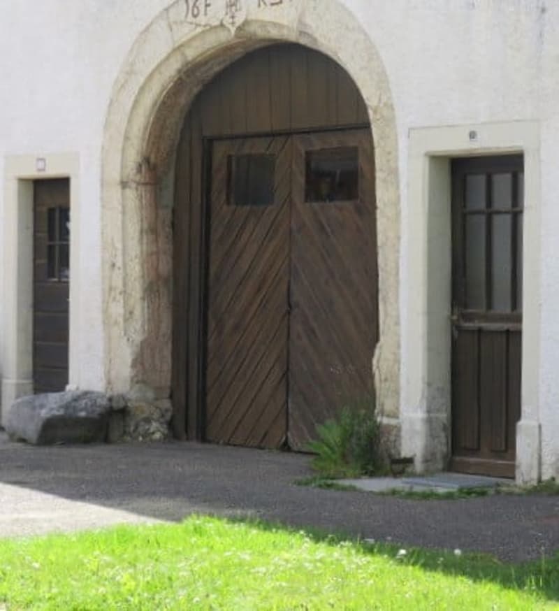 FERME TYPIQUE DES FRANCHES-MONTAGNES (17)