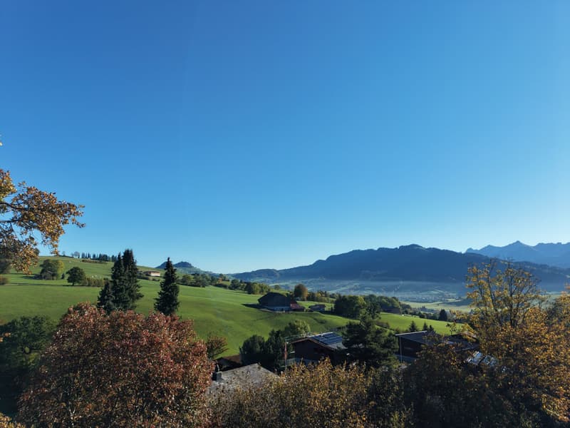Zwei Haushälften. Ein Zuhause voller Möglichkeiten. (8)