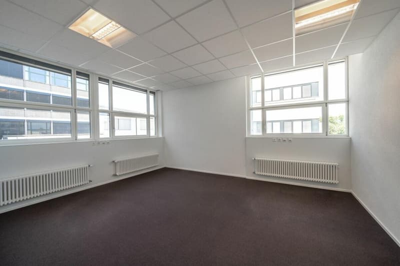 white walls, large windows, ceiling with ceiling tiles and lights, white radiators, carpeted floor