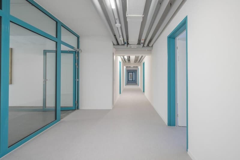 white walls, white flooring, blue framed glass doors, white framed doors