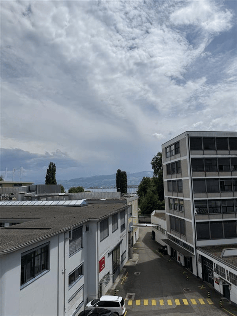 Arbeiten auf dem ZIK-Areal - modernes, helles Büro mit Seeblick (4)